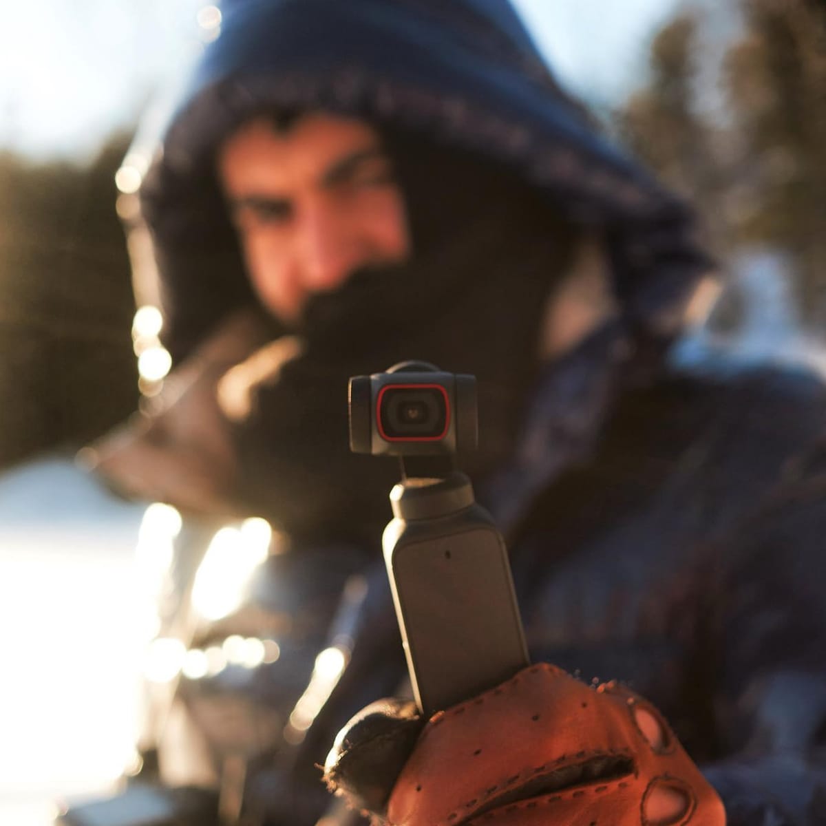 Day 10: Crafting a Consistent Visual Identity